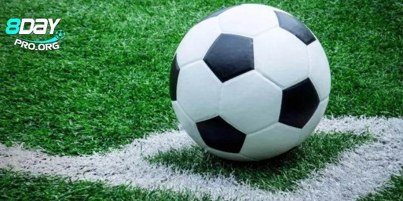 Trực tiếp bóng đá